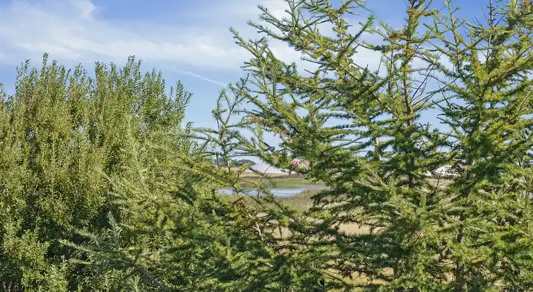 Geräumiges Ferienhaus mit Blick auf den Limfjord