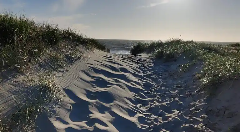 Feriebolig i Thyborøn