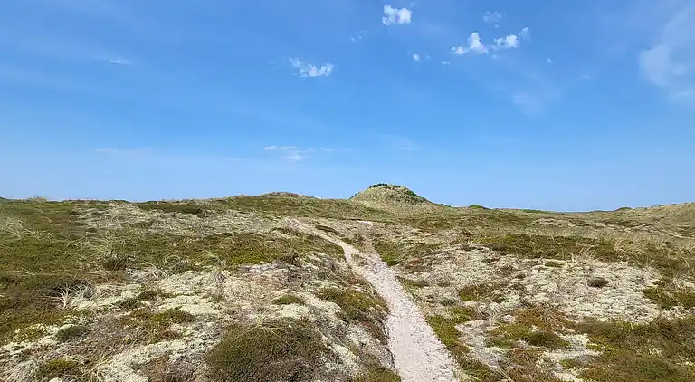 Holiday home in Thisted