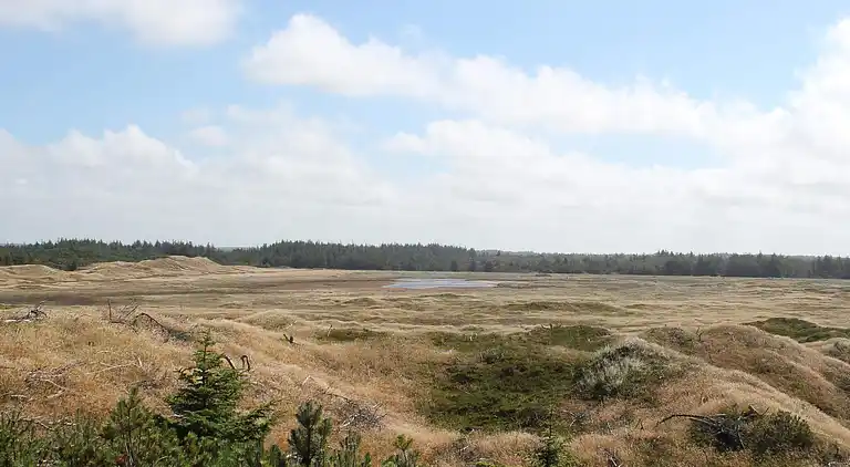 Holiday home in Thisted