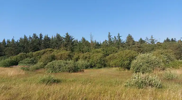 Holiday home in Erslev