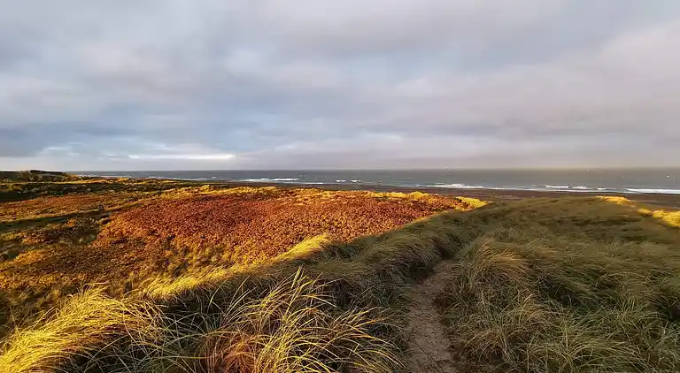 Holiday home in Thisted