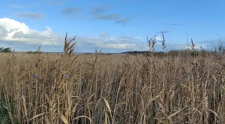 Holiday home in Lemvig