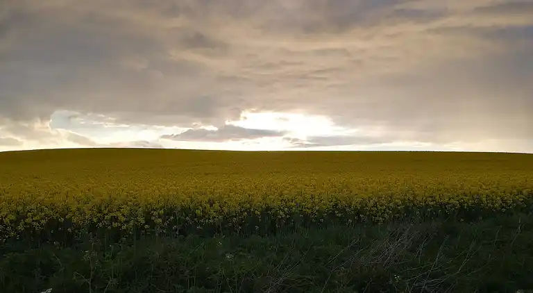 Holiday home in Mesinge