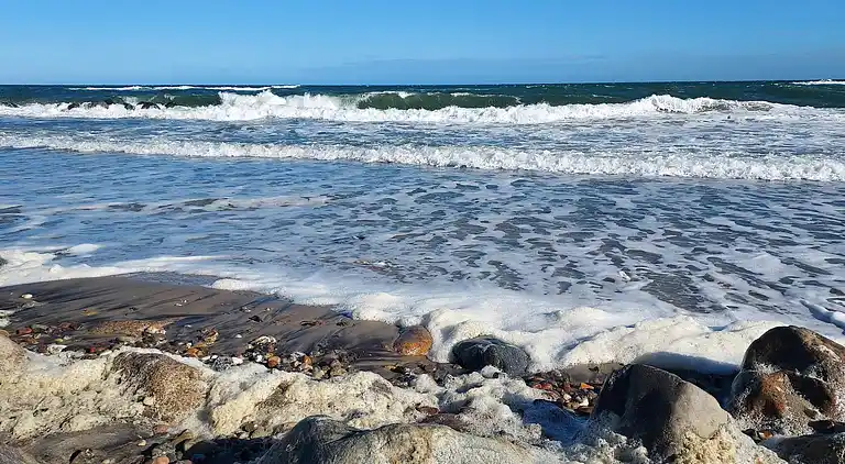 Semesterbostad vid Smidstrup Strand