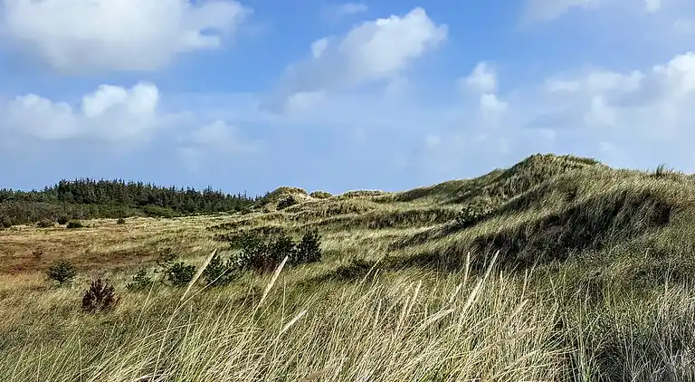 Casa de vacaciones en Ålbæk