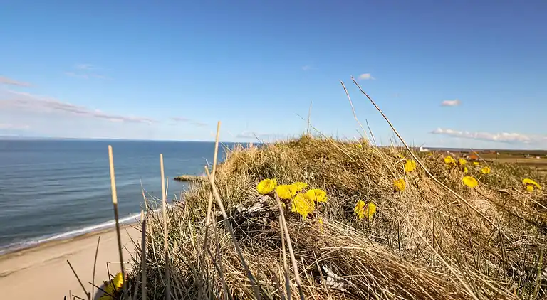 Vakantiehuis in Lemvig