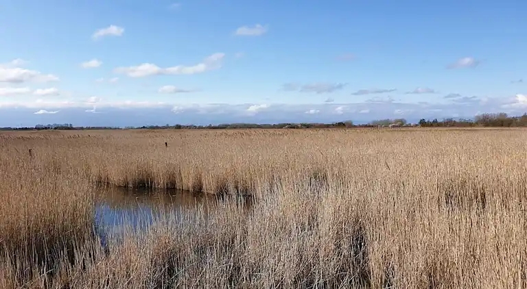 Holiday home in Hasmark Strand