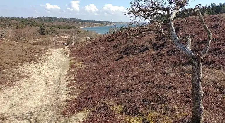 Holiday home in Hurup Thy