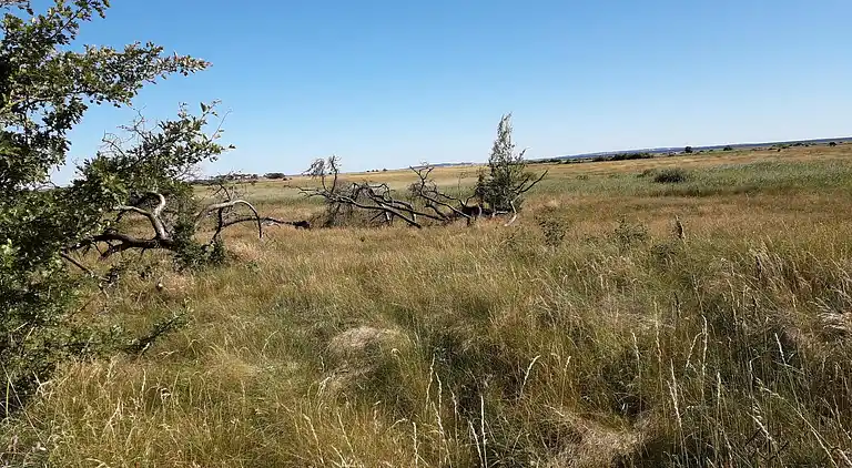 Holiday home in Vesløs