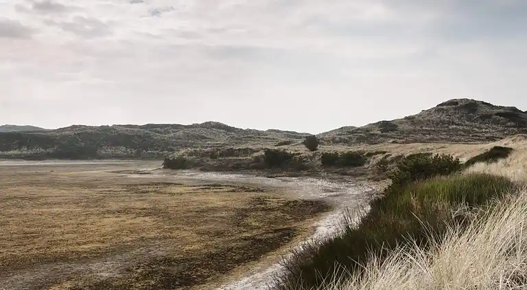 Feriebolig i Thisted