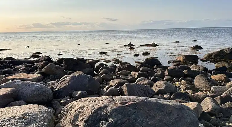 Feriebolig i Martofte