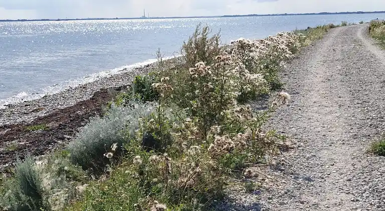 Casa vacanze in Mesinge