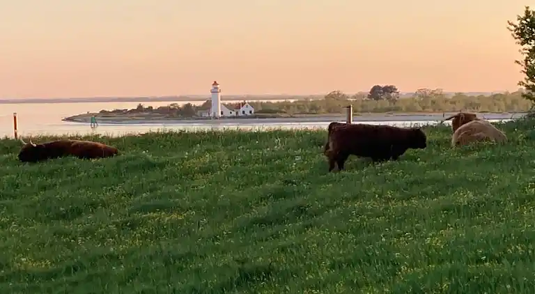 Casa vacanze in Mesinge