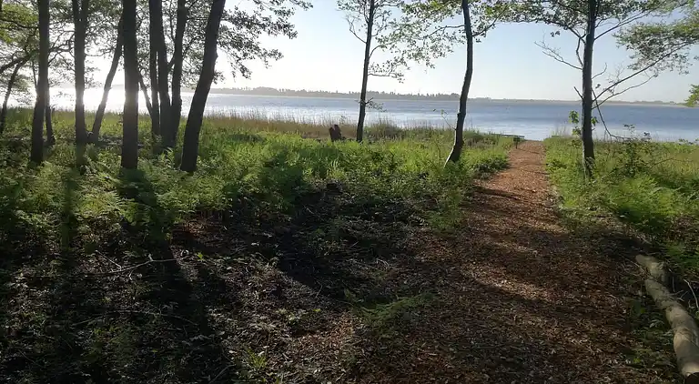 Holiday home in Snedsted