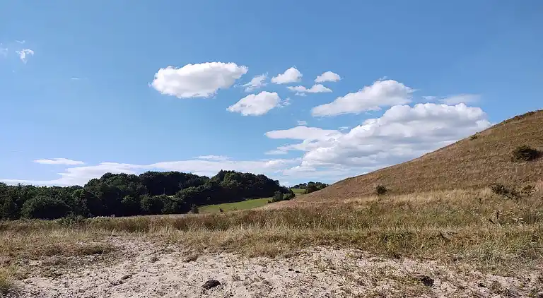Holiday home in Snedsted