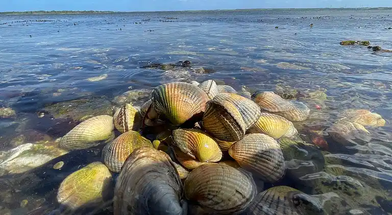 Holiday home in Snedsted