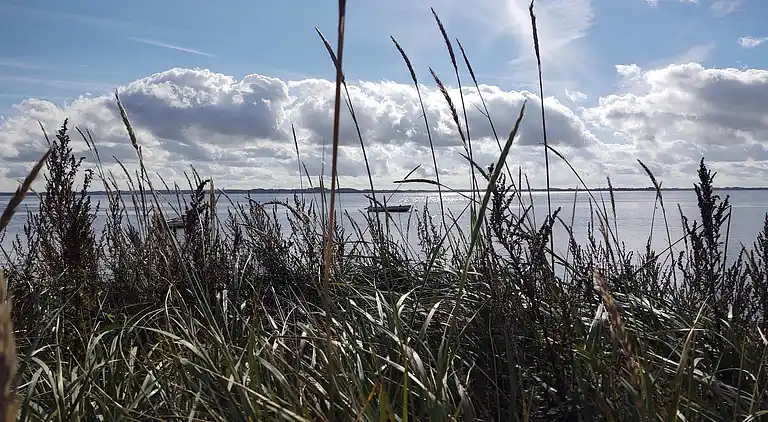 Holiday home in Snedsted