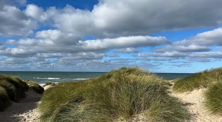 Holiday home in Thisted