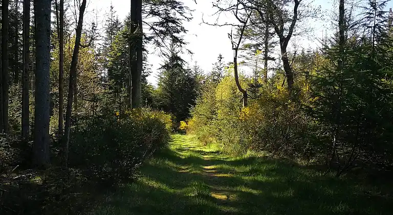 Holiday home in Thisted