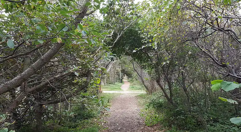 Holiday home in Thisted