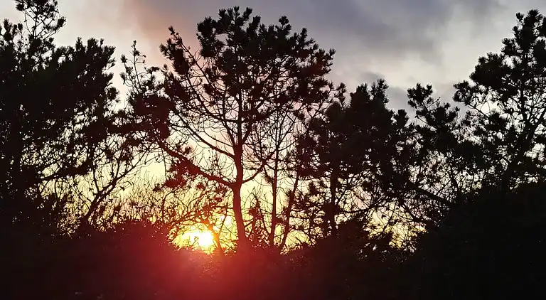 Holiday home in Thisted