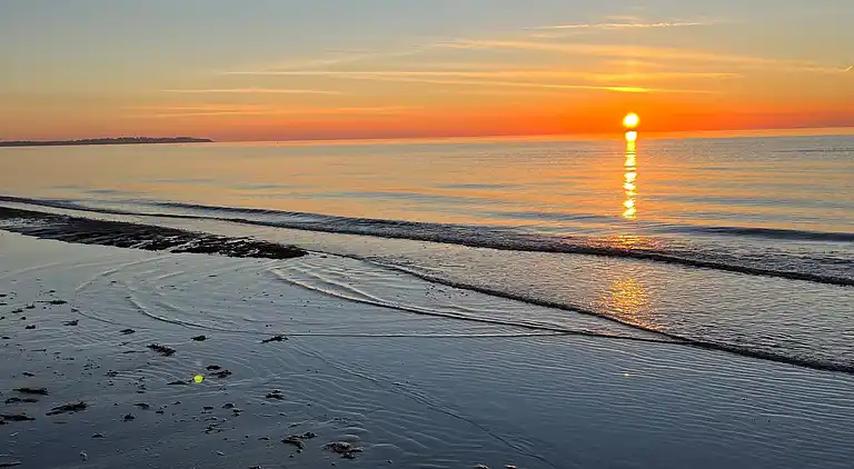 Moderniseret 70'er-sommerhus i skoven nær strand