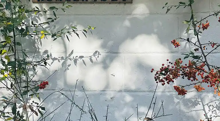 Moderniseret 70'er-sommerhus i skoven nær strand