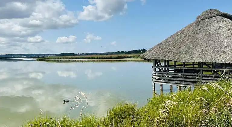 Moderniseret 70'er-sommerhus i skoven nær strand