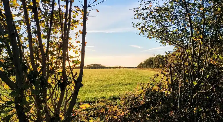 Ferienhaus im Unesco Wattenmeer Nationalpark
