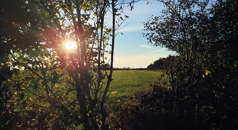 Ferienhaus im Unesco Wattenmeer Nationalpark