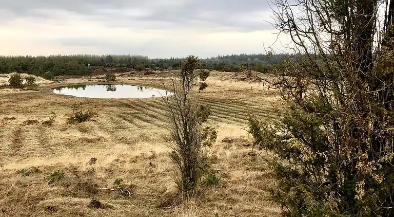 Casa vacanze in Grindsted