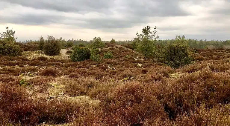 Casa vacanze in Grindsted