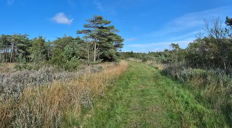 Holiday home in Havneby
