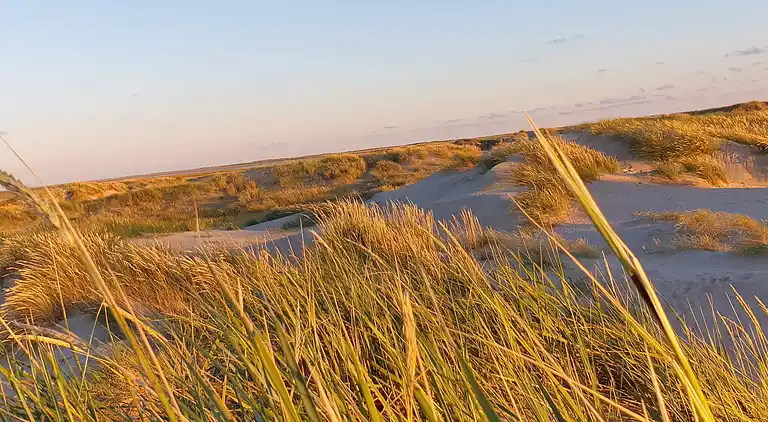 Holiday home in Havneby