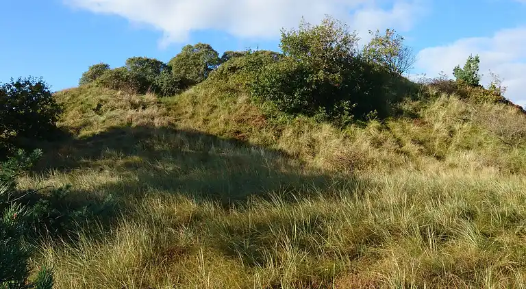 Holiday home in Kongsmark