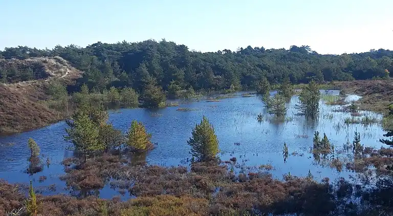 Holiday home in Kongsmark