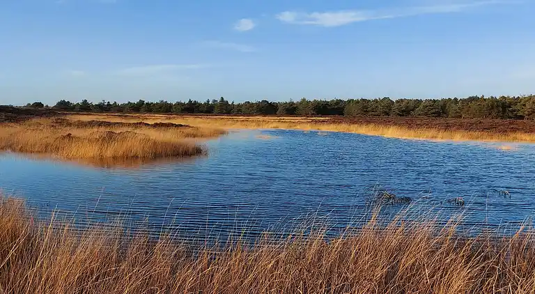 Holiday home in Kongsmark