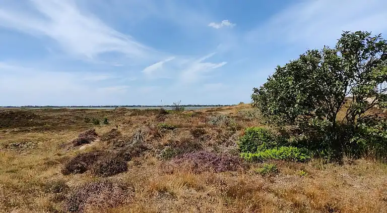 Feriebolig ved Rindby Strand