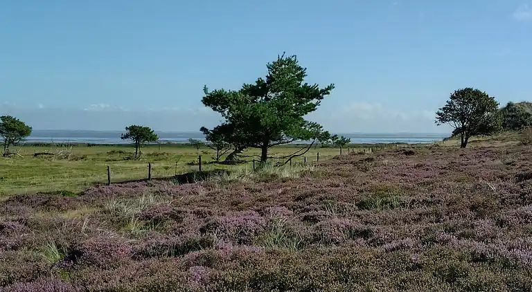 Feriebolig ved Rindby Strand