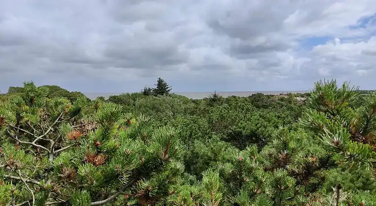 Feriebolig ved Rindby Strand
