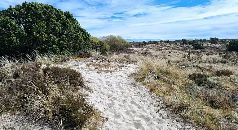 Feriebolig ved Rindby Strand