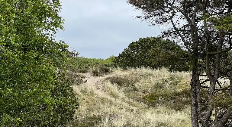 Feriebolig ved Rindby Strand