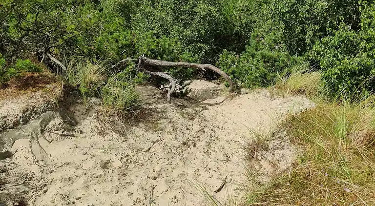 Feriebolig ved Rindby Strand