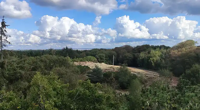 Feriebolig ved Rindby Strand