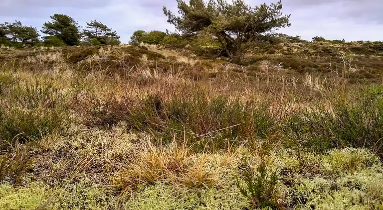 Feriebolig ved Rindby Strand