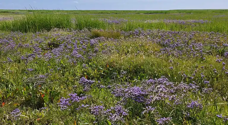 Holiday home in Ribe