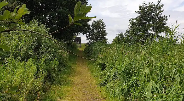 Sommerhus i Fugleslev