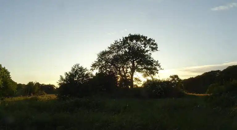 Sommerhus i Fugleslev