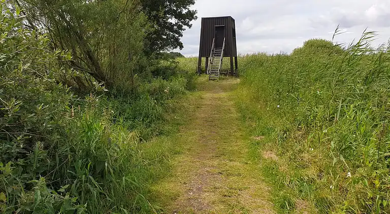 Sommerhus i Fugleslev